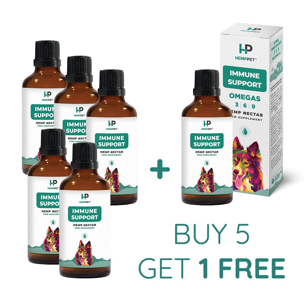 Immune Support | Hemp Seed Nectar for Dogs | Buy 5 get 1 free - HempPet.com.au