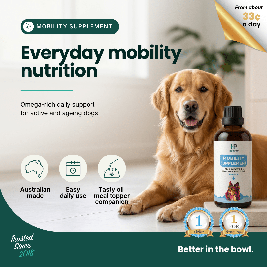 Mobility Supplement | Hemp Seed Nectar Oil Blend with Hoki Fish & MCT Oil for Dogs 100ml - HempPet.com.au