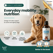 Mobility Supplement | Hemp Seed Nectar Oil Blend with Hoki Fish & MCT Oil for Dogs 100ml - HempPet.com.au