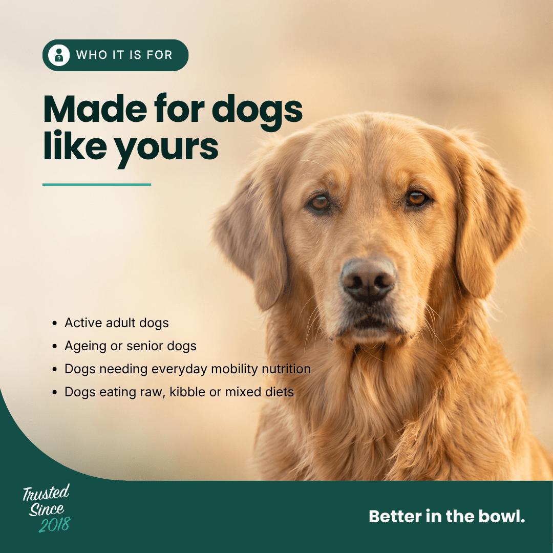 Mobility Supplement | Hemp Seed Nectar Oil Blend with Hoki Fish & MCT Oil for Dogs 100ml - HempPet.com.au