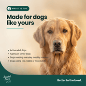 Mobility Supplement | Hemp Seed Nectar Oil Blend with Hoki Fish & MCT Oil for Dogs 100ml - HempPet.com.au