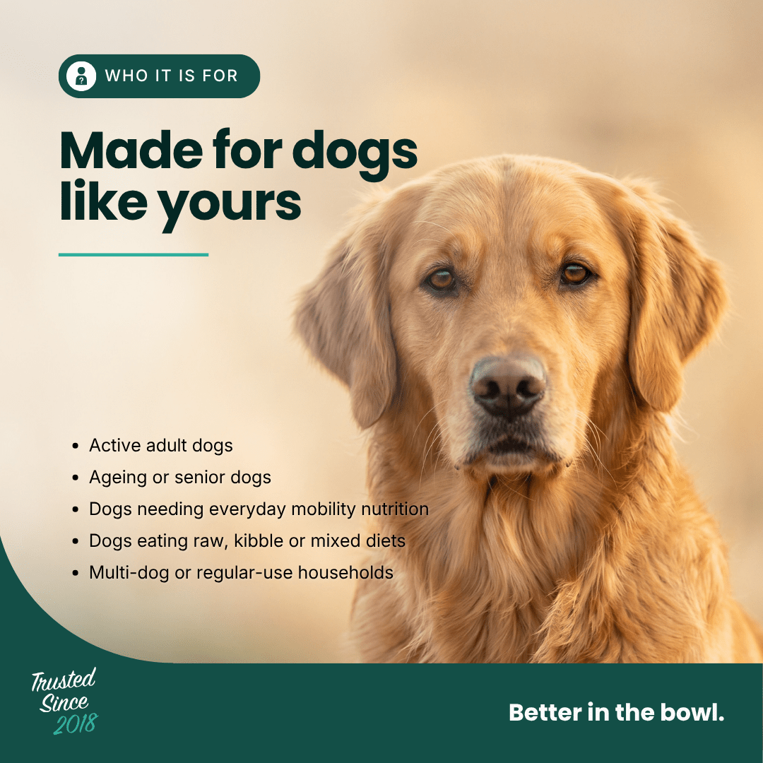 Mobility Supplement | Hemp Seed Oil Blend With Hoki Fish & MCT Oil for Dogs | Buy 5 get 1 Free - HempPet.com.au