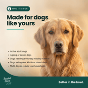 Mobility Supplement | Hemp Seed Oil Blend With Hoki Fish & MCT Oil for Dogs | Buy 5 get 1 Free - HempPet.com.au