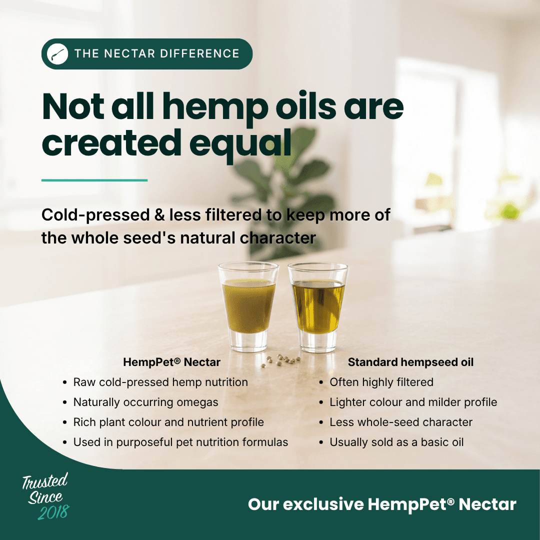 Mobility Supplement | Hemp Seed Oil Blend With Hoki Fish & MCT Oil for Dogs | Buy 5 get 1 Free - HempPet.com.au