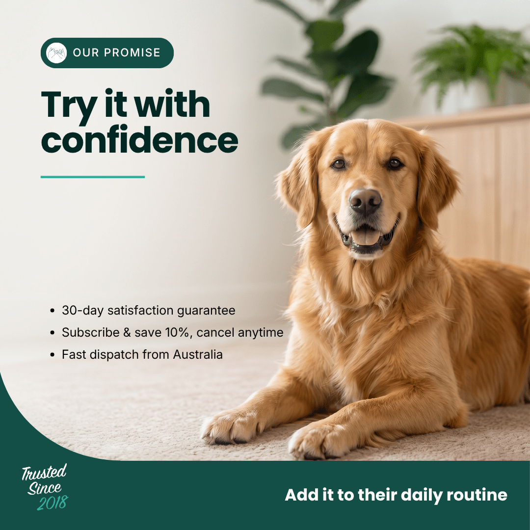 Mobility Supplement | Hemp Seed Oil Blend With Hoki Fish & MCT Oil for Dogs | Buy 5 get 1 Free - HempPet.com.au