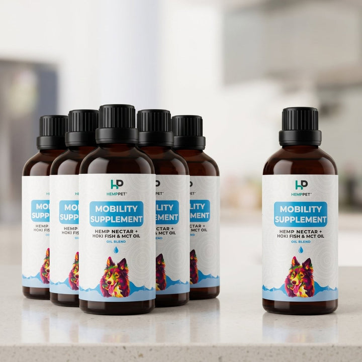 Mobility Supplement | Hemp Seed Oil Blend With Hoki Fish & MCT Oil for Dogs | Buy 5 get 1 Free - HempPet.com.au