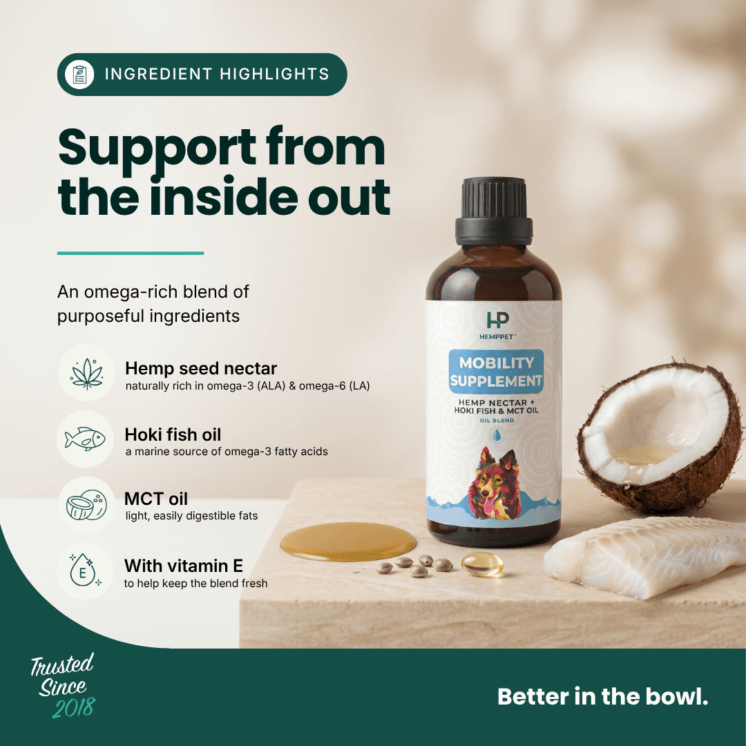 Mobility Supplement | Hemp Seed Oil Blend With Hoki Fish & MCT Oil for Dogs | Buy 5 get 1 Free - HempPet.com.au