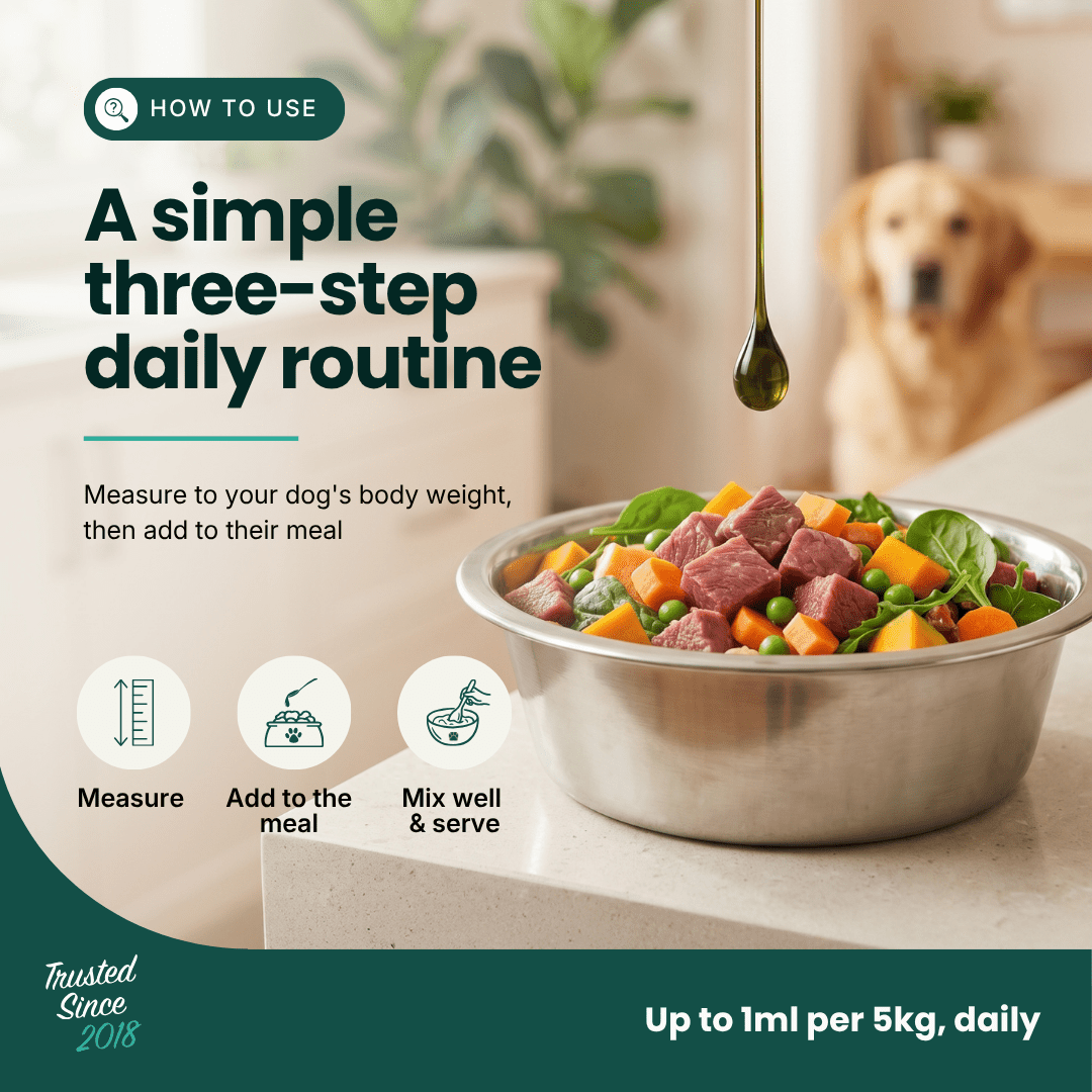 Mobility Supplement | Hemp Seed Oil Blend With Hoki Fish & MCT Oil for Dogs | Buy 5 get 1 Free - HempPet.com.au