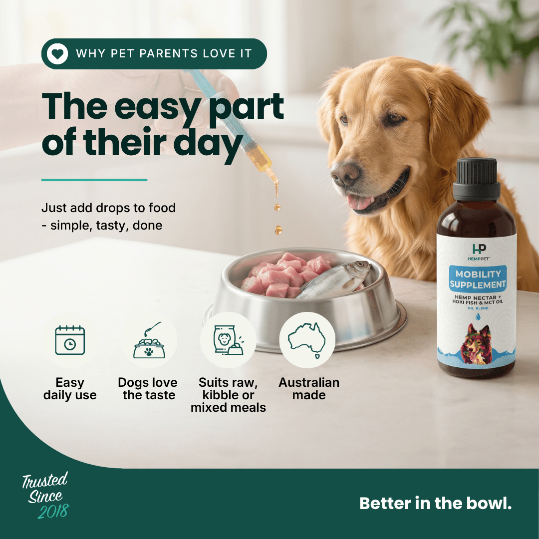 Mobility Supplement | Hemp Seed Oil Blend With Hoki Fish & MCT Oil for Dogs | Buy 5 get 1 Free - HempPet.com.au
