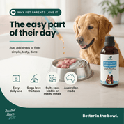 Mobility Supplement | Hemp Seed Oil Blend With Hoki Fish & MCT Oil for Dogs | Buy 5 get 1 Free - HempPet.com.au