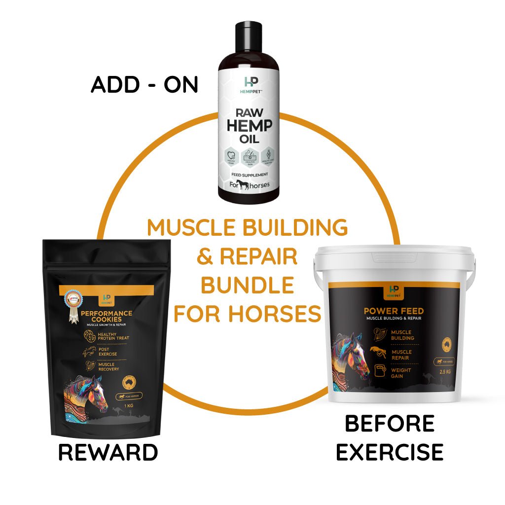 Muscle Building & Repair Bundle for Horses | Save with Bundle - HempPet.com.au