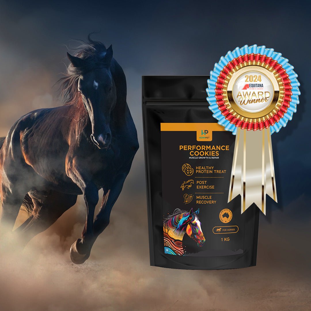 Performance Bundle for Horses | Save with Bundle - HempPet.com.au