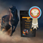 Performance Bundle for Horses | Save with Bundle - HempPet.com.au