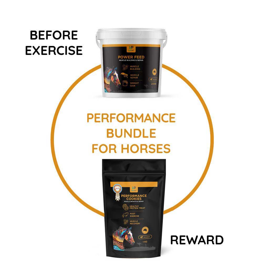 Performance Cookies | Muscle Growth and Repair | Post Exercise Treats for Horses 