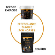 Performance Cookies | Muscle Growth and Repair | Post Exercise Treats for Horses 
