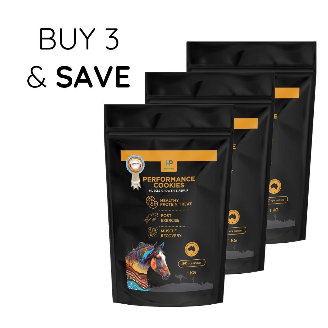 Performance Cookies | Muscle Growth and Repair | Post Exercise Treats for Horses 1 kg | Buy 3 and Save - HempPet.com.au