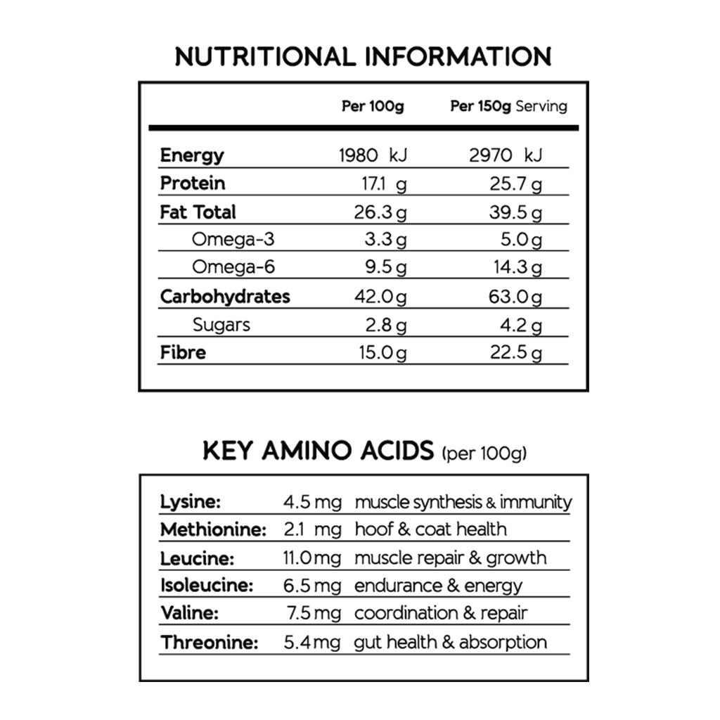 Performance Cookies | Muscle Growth and Repair | Post Exercise Treats for Horses 300g - HempPet.com.au