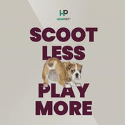 Dog between letters wiggling his tail