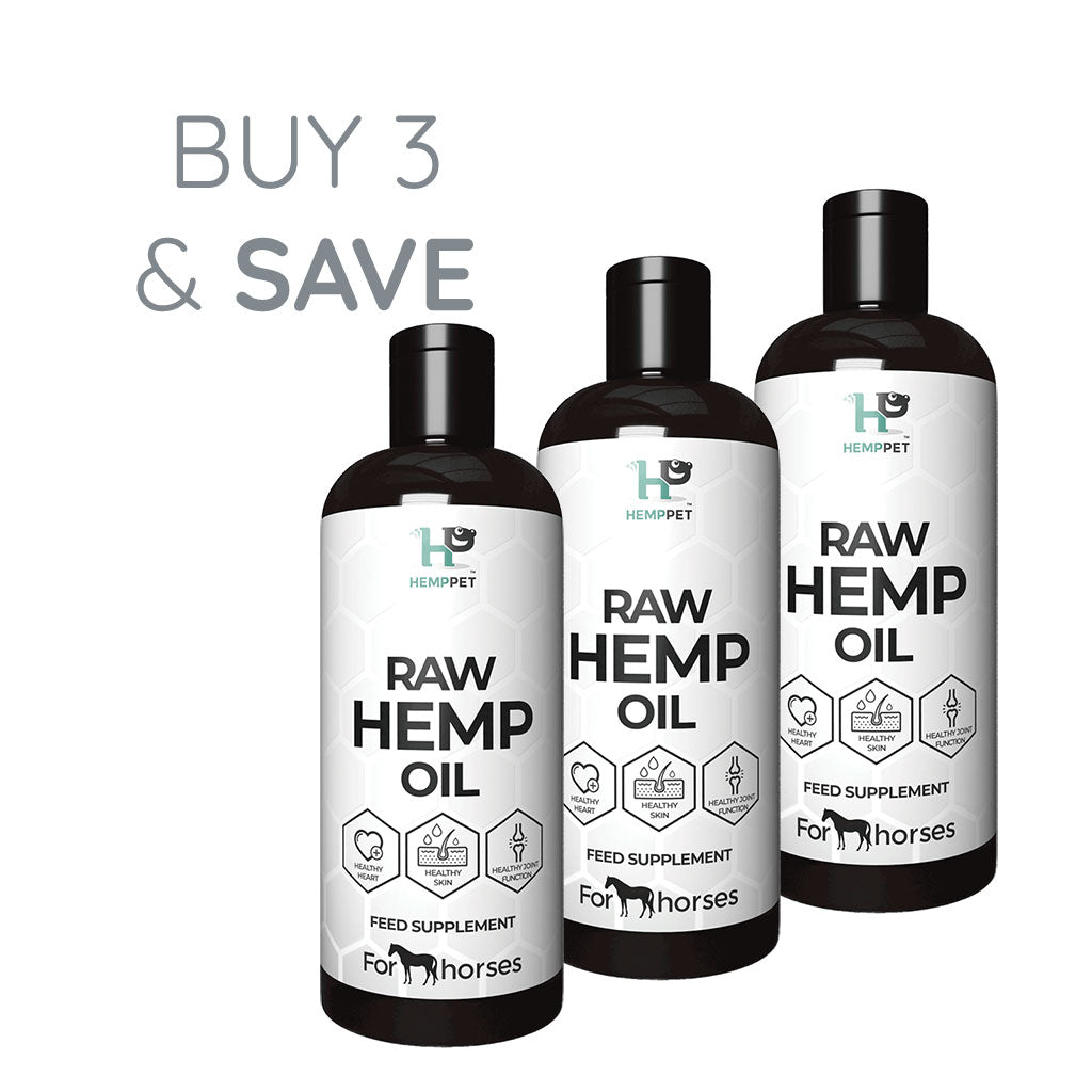 Raw Hemp Seed Oil Bundle for Horses 500ml | Buy 3 and Save - HempPet.com.au