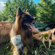 Skin & Coat Support | New Zealand Hoki Fish Hemp Infused Treats for Dogs 70g - HempPet.com.au