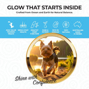 Skin & Coat Support | New Zealand Hoki Fish Hemp Infused Treats for Dogs 70g | Buy 5 get 1 Free - HempPet.com.au
