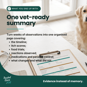The Itchy Dog Workbook | Printable Dog Food Trial System - HempPet.com.au
