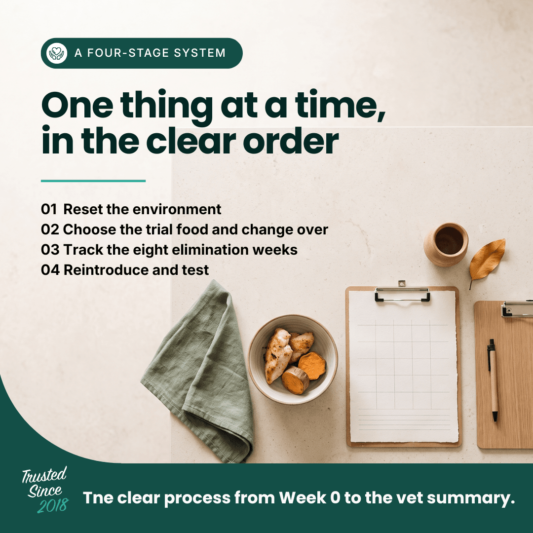 The Itchy Dog Workbook | Printable Dog Food Trial System - HempPet.com.au