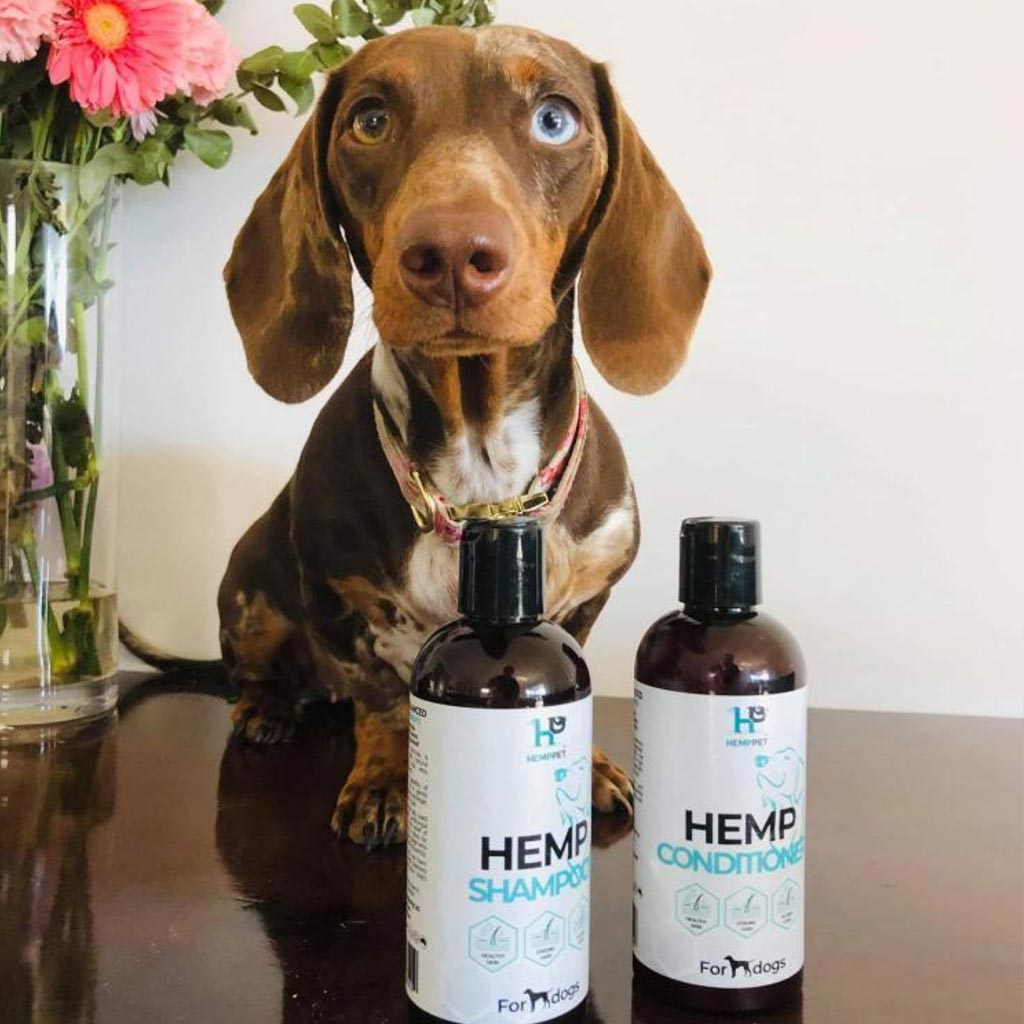 Hemp Seed Dog Shampoo 250ml | Hemp Pet - HempPet.com.au